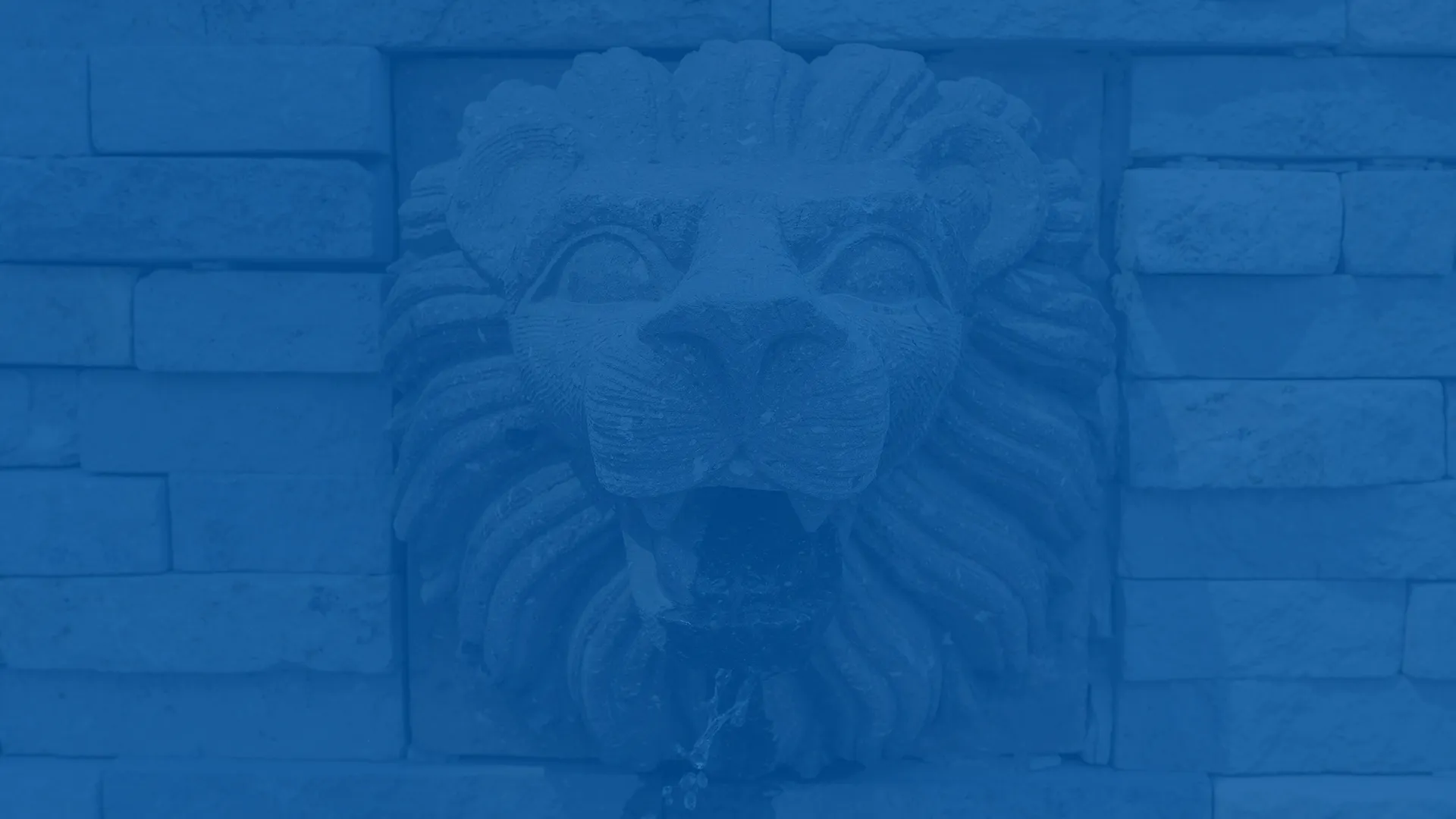 Menu image for Menú