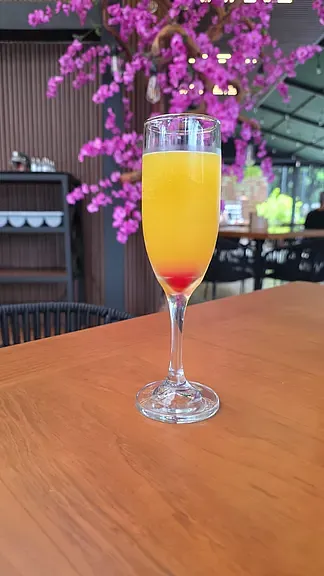Mimosa 