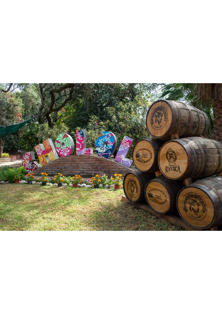 Birrieria Chololo Campestre hero image