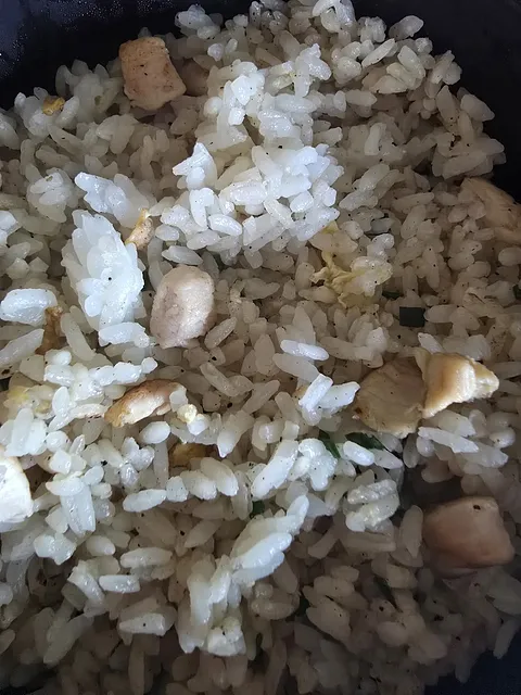 Yakimeshi Tori (Pollo)