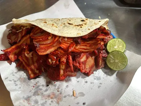 Gringa