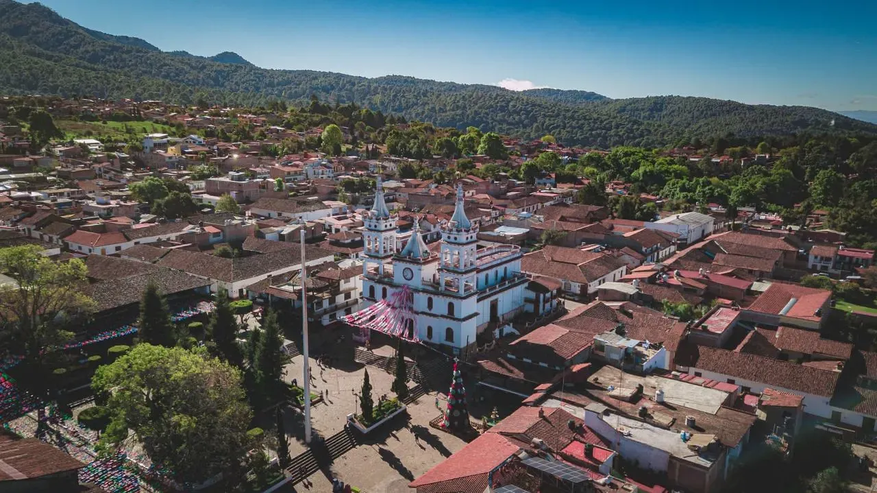 Vida Local & Gastronomía