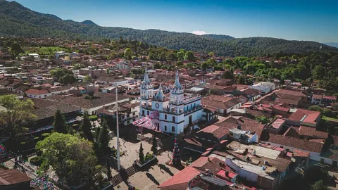 Vida Local & Gastronomía