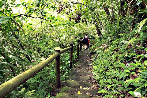 Naturaleza & Paisajes