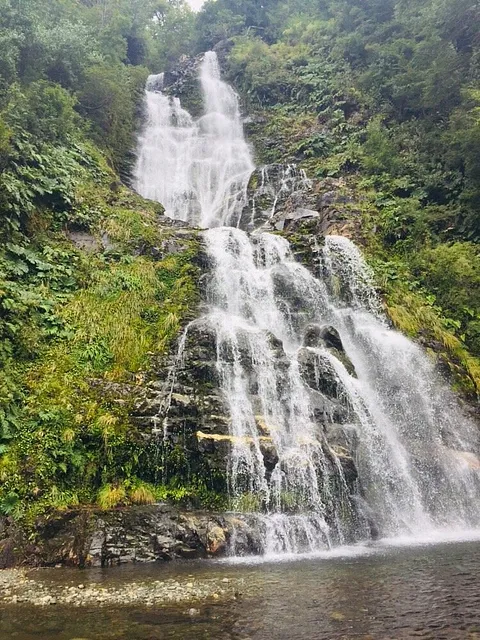 Reservas Naturales