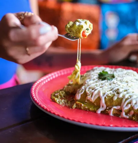 Enchiladas de Pollo