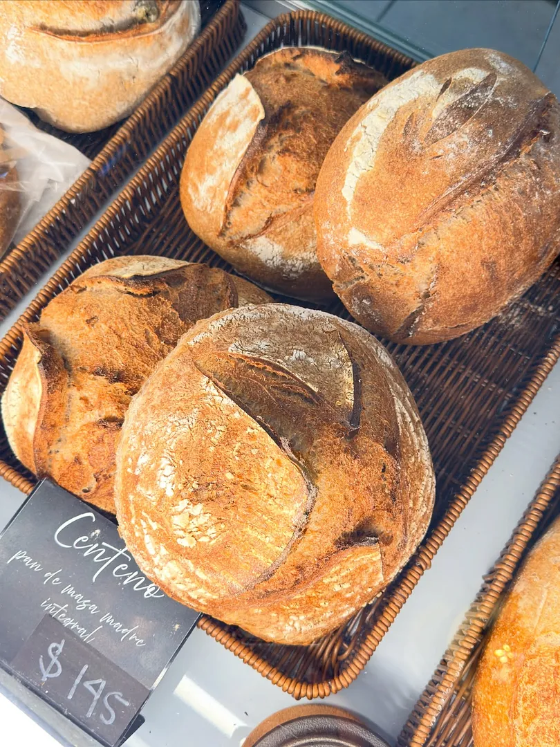 Pan - Masa Madre